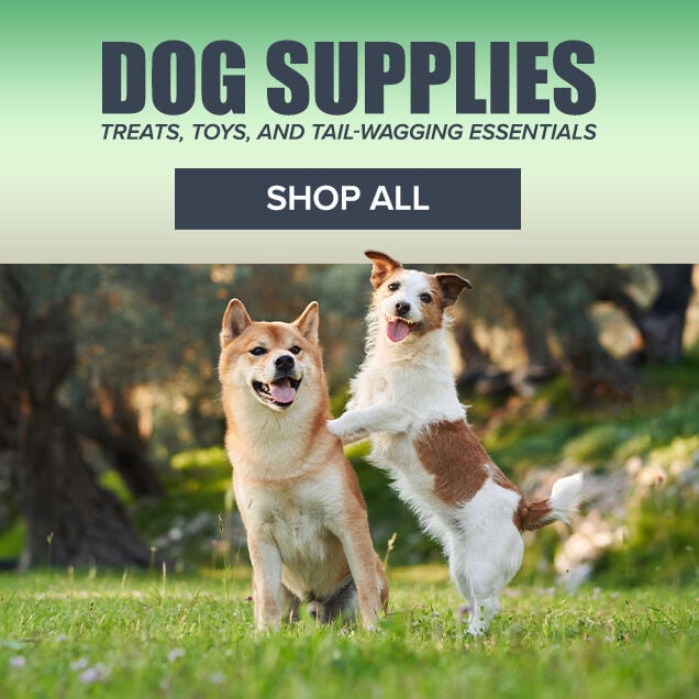 Dog Supplies